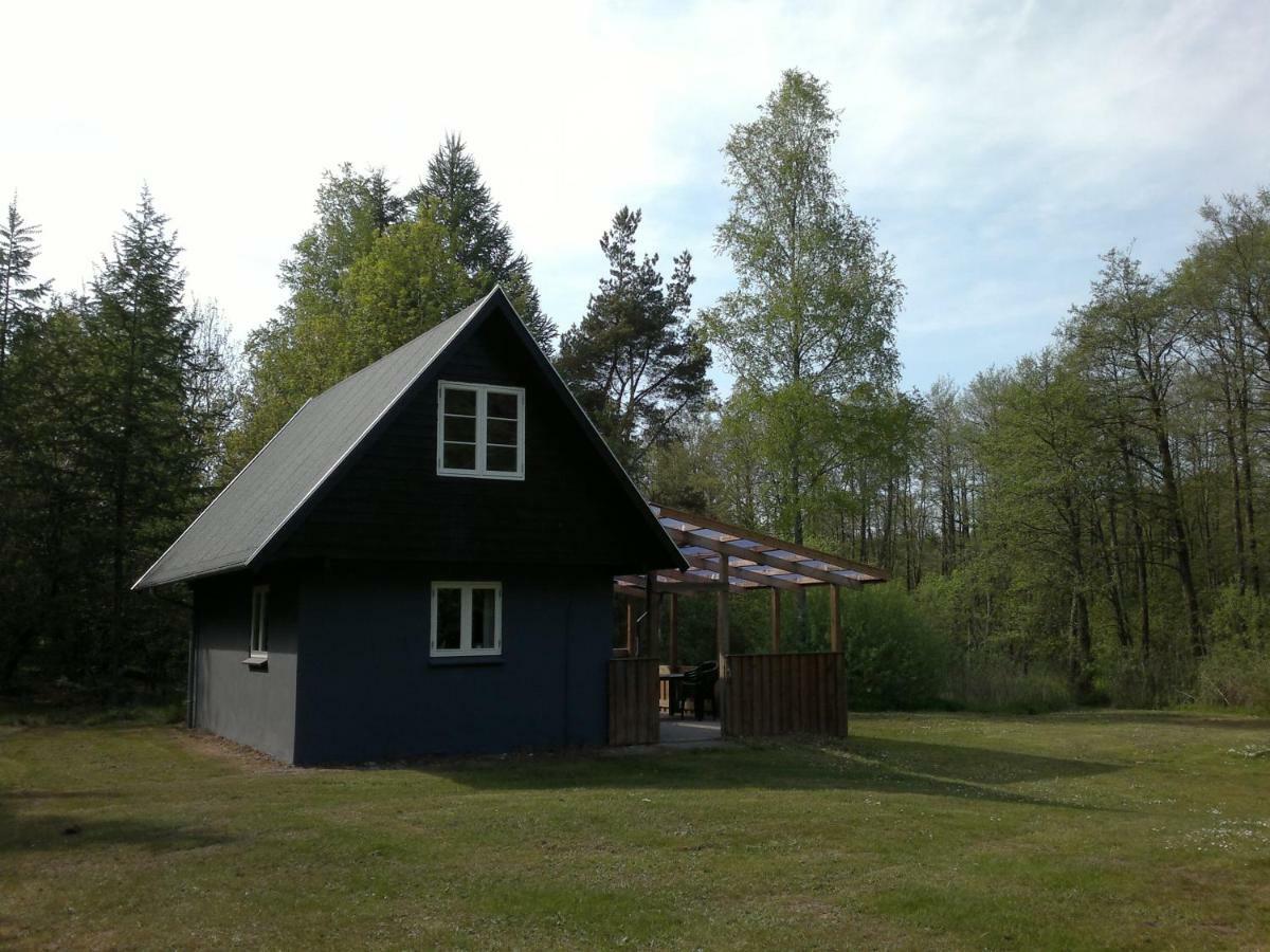 Nix at Gammel Rye Villa Ry Eksteriør billede